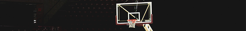 Basket pro