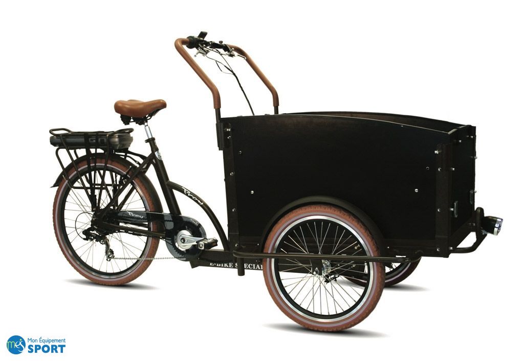 triporteur 4 places
