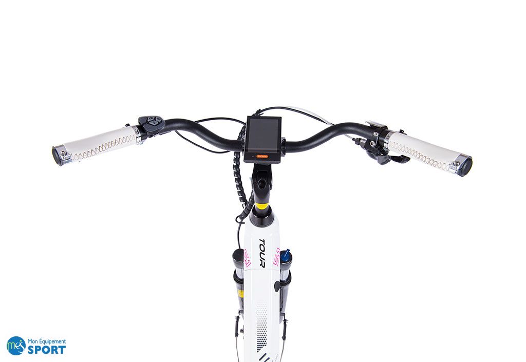 Velo De Ville Electrique 9 Vitesses 250 W 36 V 14 Ah Pls Tailles Mountfield A S