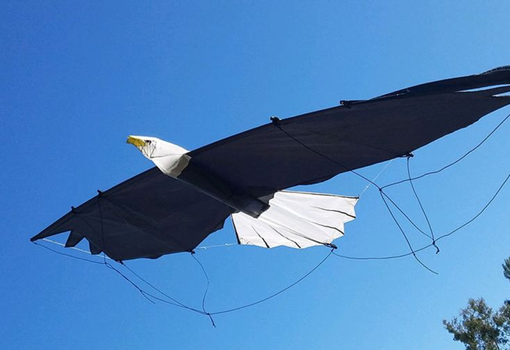 Cerf-Volant Pilotable Revolution Eagle