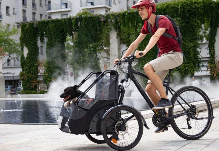 Module de transport chien pour vélo Addbike Dog Kit