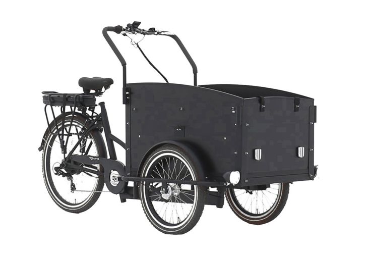 Vélo cargo électrique Troy 26/20 pouces 250 W - 36 V/13 Ah