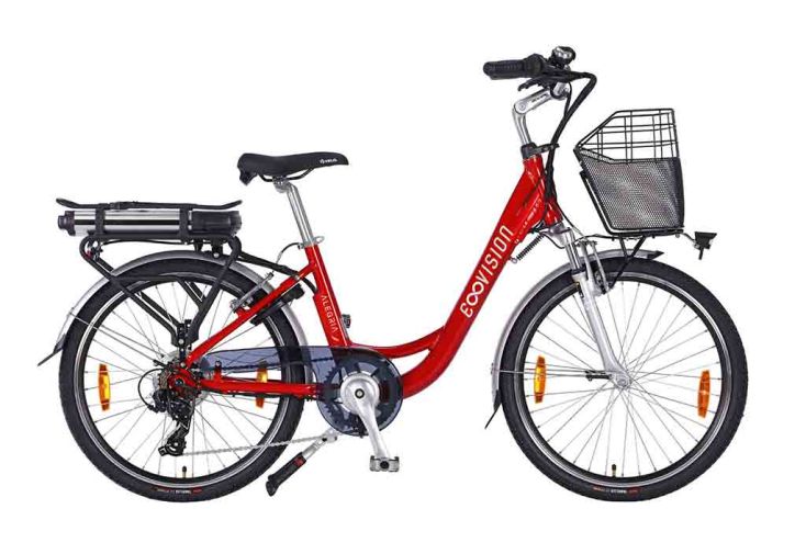 Vélo électrique E-vision Alegria 24 pouces 250 W / 14 Ah