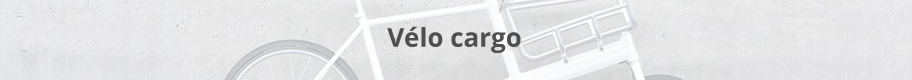 Vélo cargo.